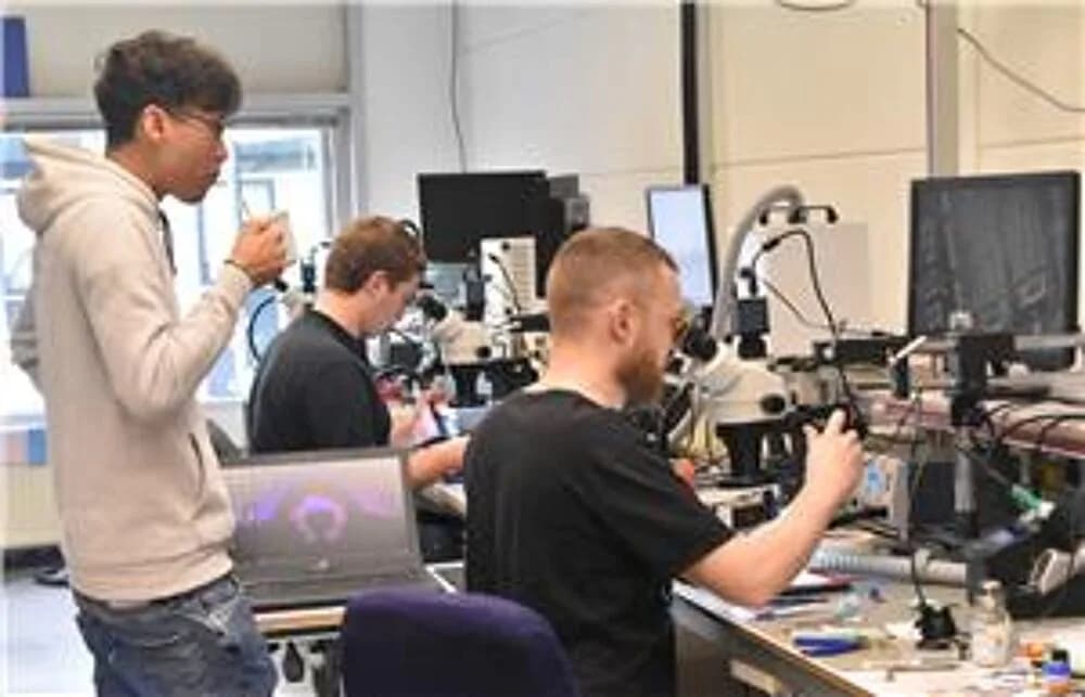 L2/L3 Training, All-inclusive package: 12 – 18 October 2026