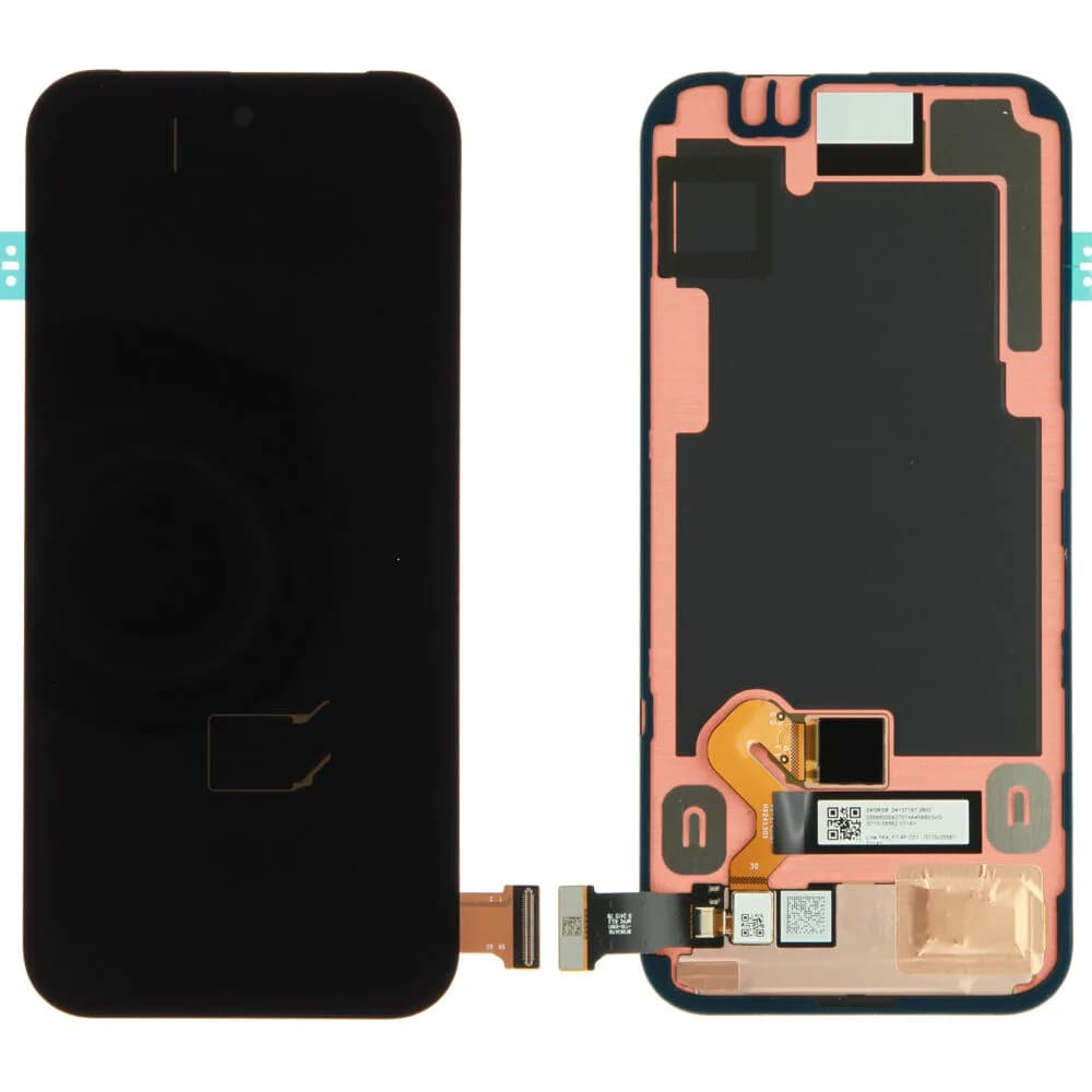 Display Google Pixel 9 - Original