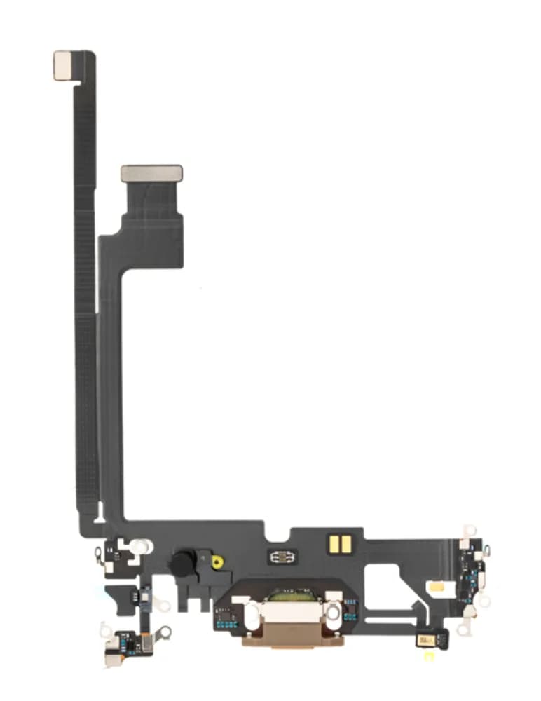 Dock connector iPhone 12 Pro Max - Pulled - Gold